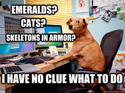 Emeralds? cats? skeletons in armor? I have no clue what to do - Emeralds? cats? skeletons in armor? I have no clue what to do  Computer dog