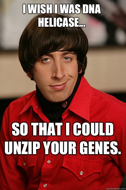 I wish I was DNA Helicase... So that I could unzip your genes.  Pickup Line Scientist