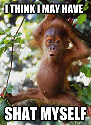 I think i may have  Shat myself  Baby Orangutan Meme 2