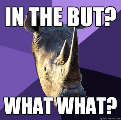In the but? What what?  Sexually Oblivious Rhino