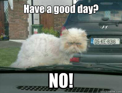 Have a good day? NO! - Have a good day? NO!  Misc