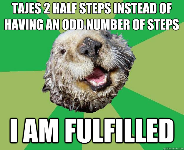 Tajes 2 half steps instead of having an odd number of steps I am fulfilled  OCD Otter