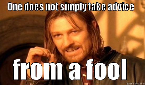 ONE DOES NOT SIMPLY TAKE ADVICE  FROM A FOOL Boromir