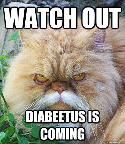 Watch out  Diabeetus is coming  Diabeetus Cat