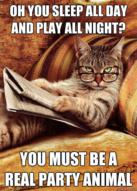 Oh you sleep all day and play all night? You must be a real party animal  