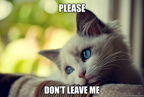 PLEASE DON'T LEAVE ME - PLEASE DON'T LEAVE ME  First World Problems Cat