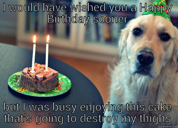 Sad Birthday Dog memes | quickmeme