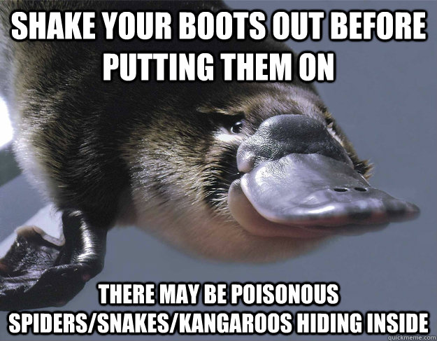 Shake your boots out before putting them on There may be poisonous spiders/snakes/kangaroos hiding inside  - Shake your boots out before putting them on There may be poisonous spiders/snakes/kangaroos hiding inside   Platypus