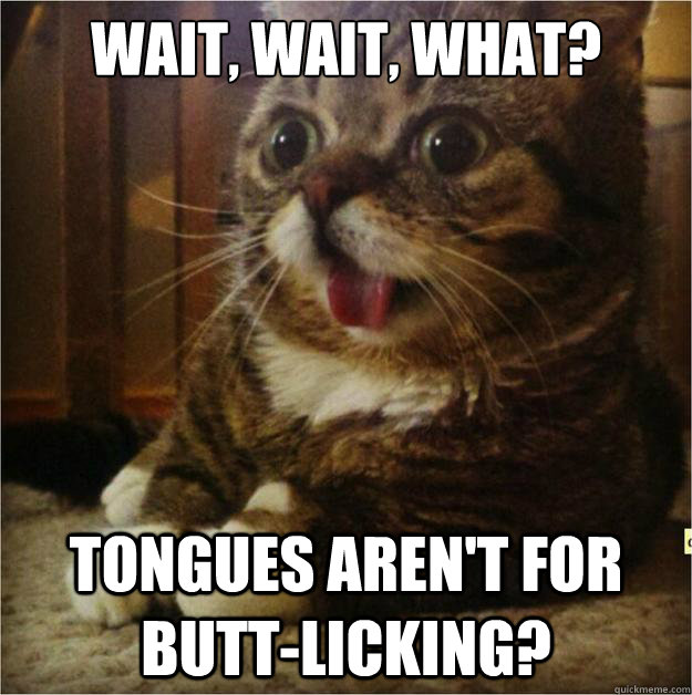 Wait, wait, what? Tongues aren't for butt-licking?  Derp Cat