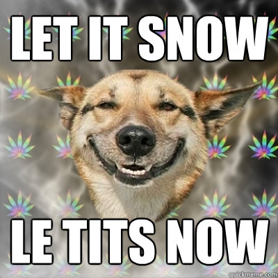 Let It SNow Le Tits now  Stoner Dog