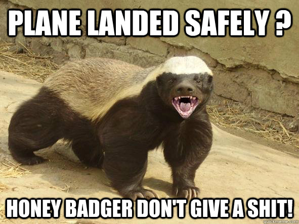 plane landed safely ? Honey badger don't give a shit!  Indifferent Honey Badger