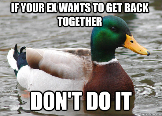 If your ex wants to get back together Don't do it - If your ex wants to get back together Don't do it  Actual Advice Mallard