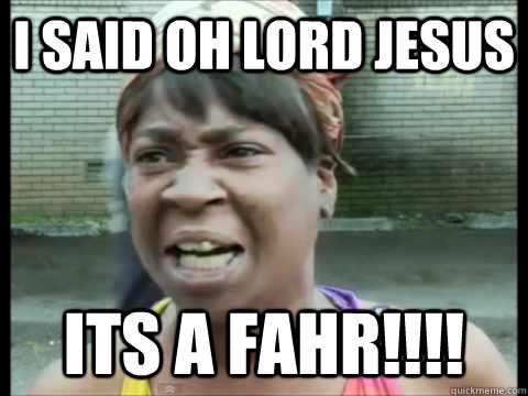 i said Oh lord jesus its a fahr!!!! - i said Oh lord jesus its a fahr!!!!  Sweet Brown