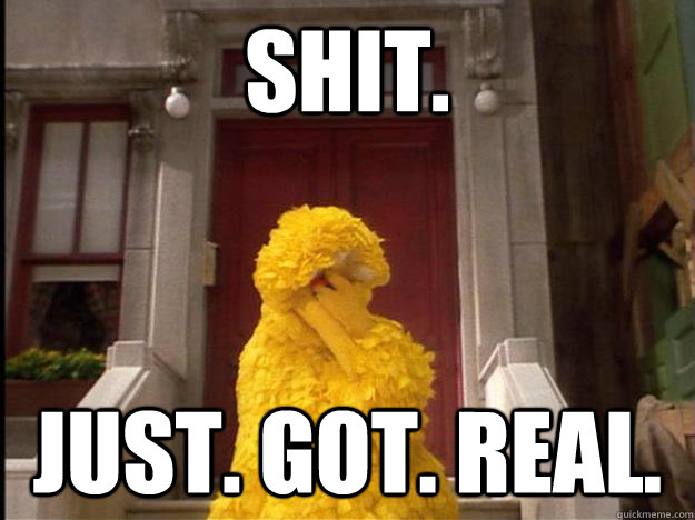 SHIT. JUST. GOT. REAL.  Big Bird