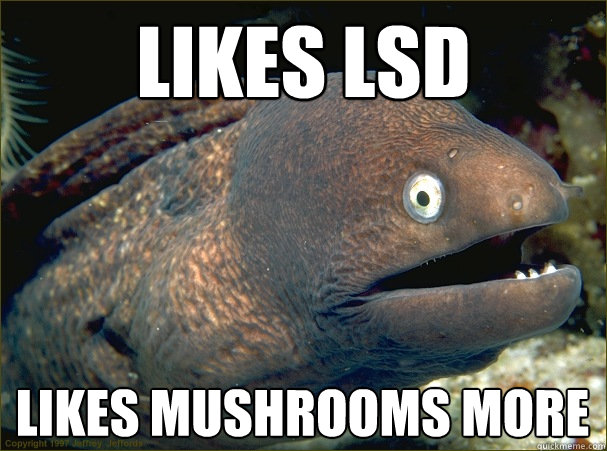 Likes LSD Likes mushrooms more  Bad Joke Eel