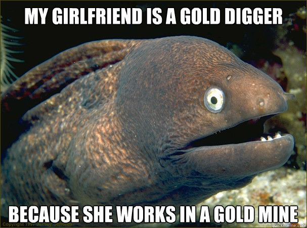 My girlfriend is a gold digger because she works in a gold mine  Bad Joke Eel