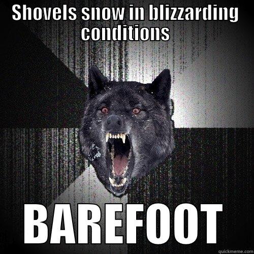 SHOVELS SNOW IN BLIZZARDING CONDITIONS BAREFOOT Insanity Wolf