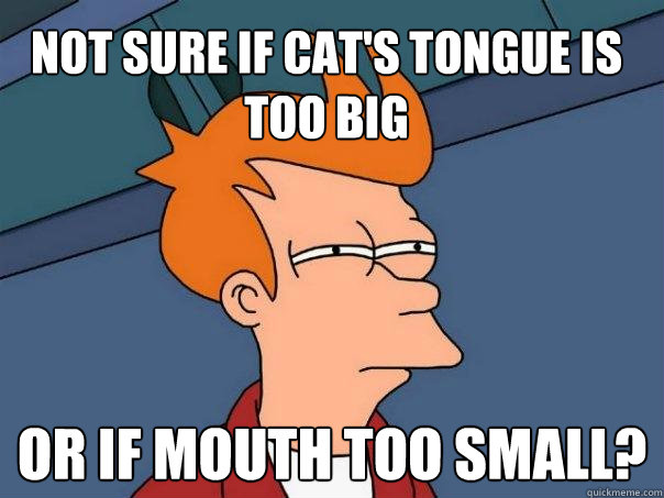 not sure if cat's tongue is too big   Or if mouth too small?  Futurama Fry