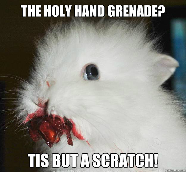 The holy hand grenade? tis but a scratch! - The holy hand grenade? tis but a scratch!  Murder Bunny