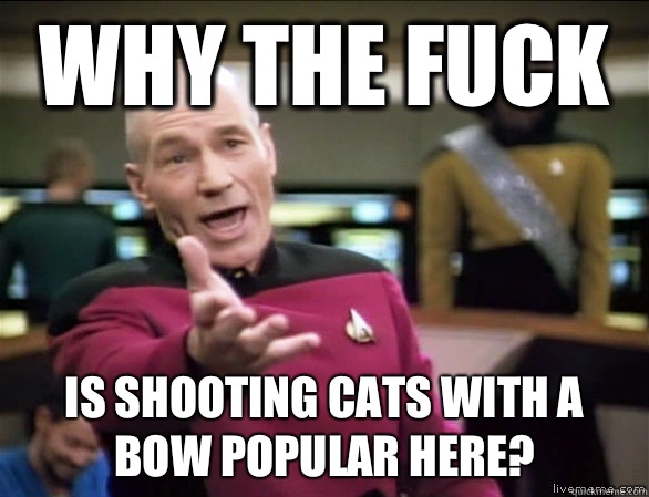 why the fuck is shooting cats with a bow popular here?  Annoyed Picard HD