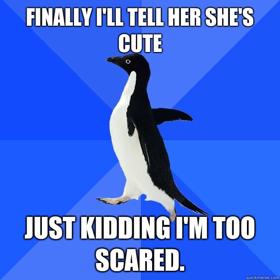 Finally I'll tell her she's cute Just kidding I'm too scared.  Socially Awkward Penguin