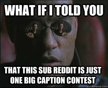 What if I told you that this sub reddit is just one big caption contest  Morpheus SC