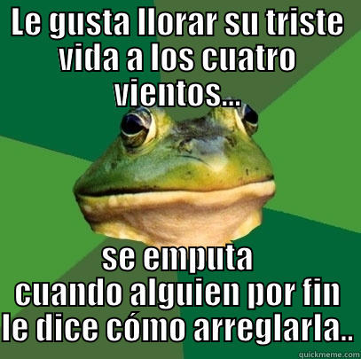 LE GUSTA LLORAR SU TRISTE VIDA A LOS CUATRO VIENTOS... SE EMPUTA CUANDO ALGUIEN POR FIN LE DICE CÓMO ARREGLARLA.. Foul Bachelor Frog