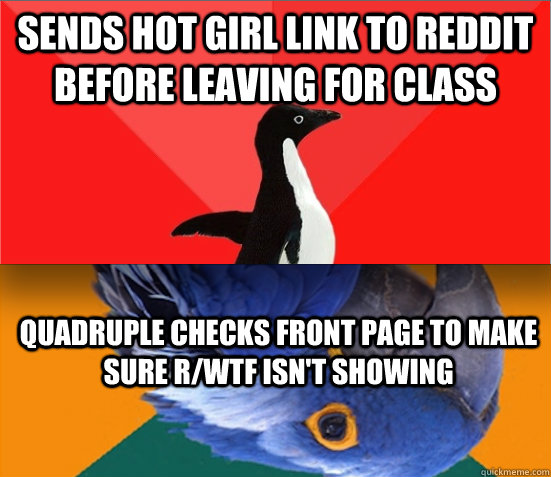 sends hot girl link to reddit before leaving for class quadruple checks front page to make sure r/wtf isn't showing - sends hot girl link to reddit before leaving for class quadruple checks front page to make sure r/wtf isn't showing  paranoid socially awesome penguinparrot