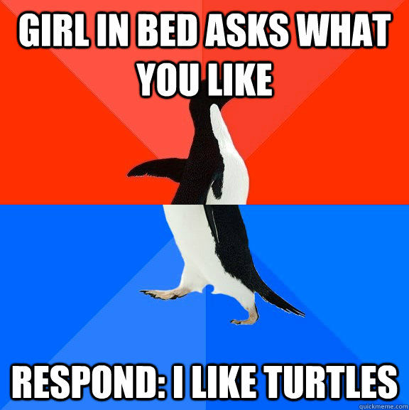 Girl in bed asks what you like Respond: I like turtles  Socially Awesome Awkward Penguin