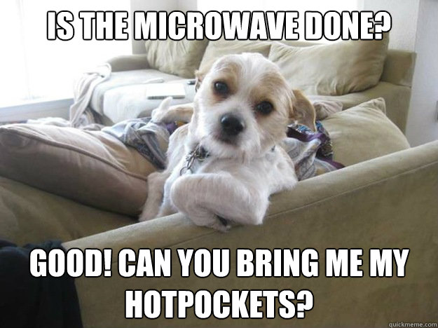 Is The microwave done? Good! Can you bring me my hotpockets? - Is The microwave done? Good! Can you bring me my hotpockets?  Couch Potato Dog