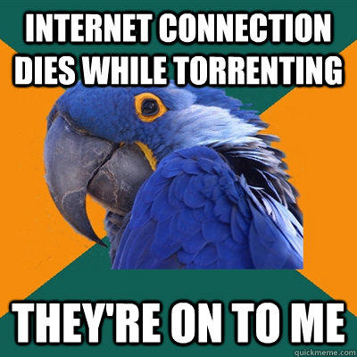 internet connection dies while torrenting they're on to me  