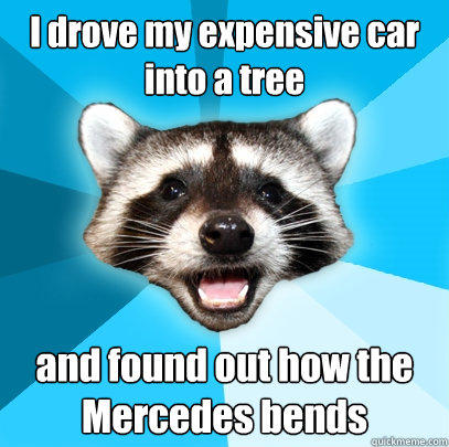 I drove my expensive car into a tree and found out how the Mercedes bends - I drove my expensive car into a tree and found out how the Mercedes bends  Lame Pun Coon