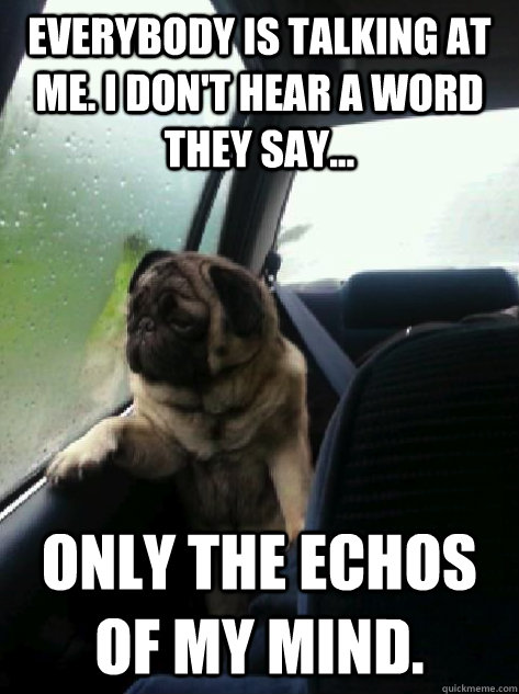 everybody is talking at me. i don't hear a word they say... only the echos of my mind.  Introspective Pug