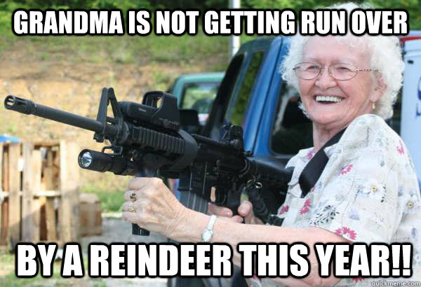 Grandma is not getting run over  by a reindeer this year!!  