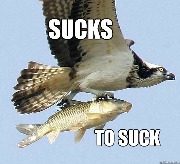 SUCKS To Suck  Sucks 2 suck