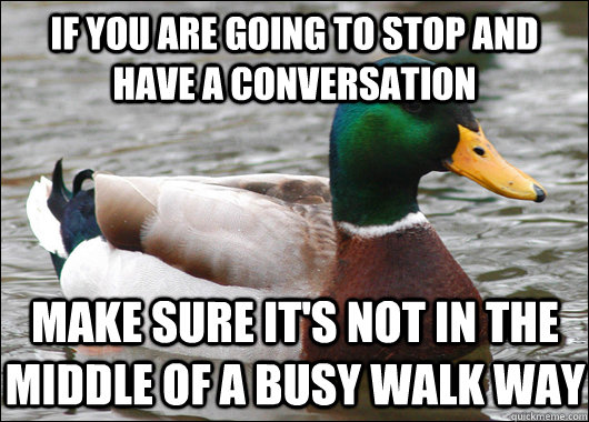 If you are going to stop and have a conversation Make sure it's not in the middle of a busy walk way  Actual Advice Mallard