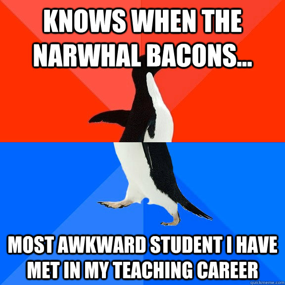 Knows when the narwhal bacons... Most awkward student I have met in my teaching career  Socially Awesome Awkward Penguin