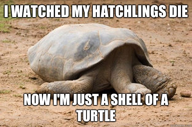 I watched my hatchlings die Now I'm just a shell of a turtle  Depression Turtle