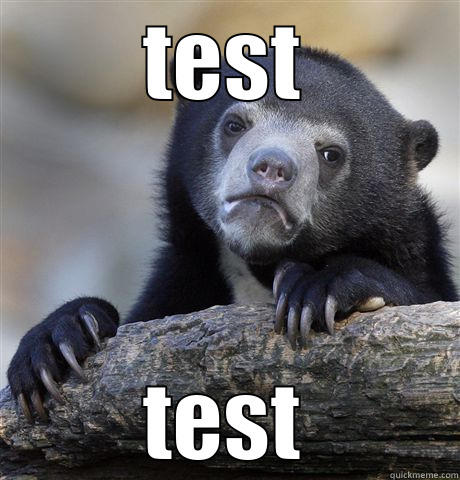 TEST TEST Confession Bear