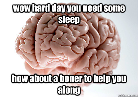 wow hard day you need some sleep how about a boner to help you along  Scumbag Brain