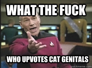 What the fuck Who upvotes cat genitals   Annoyed Picard