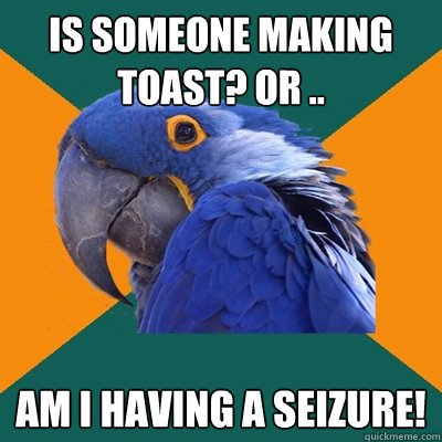 is someone making toast? or .. am i HAVING A SEIZURE!  Paranoid Parrot
