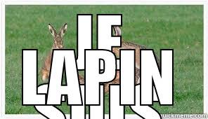JE SUIS LAPIN Misc