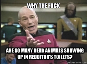 why the fuck are so many dead animals showing up in redditor's toilets?  Annoyed Picard
