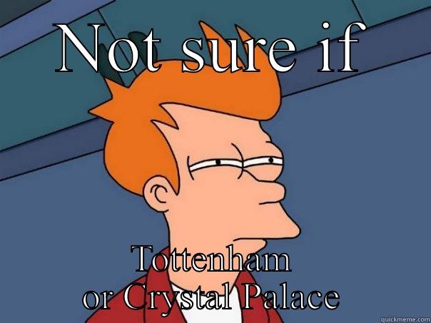 NOT SURE IF TOTTENHAM OR CRYSTAL PALACE Futurama Fry