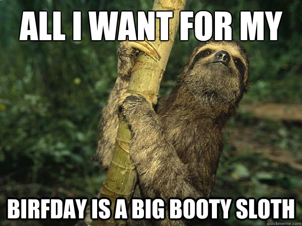 All I want for my  Birfday is a big booty sloth - All I want for my  Birfday is a big booty sloth  Birthday Sloth