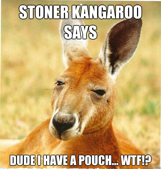 Stoner kangaroo says dude i have a pouch... wtf!? - Stoner kangaroo says dude i have a pouch... wtf!?  Stoner Kangaroo