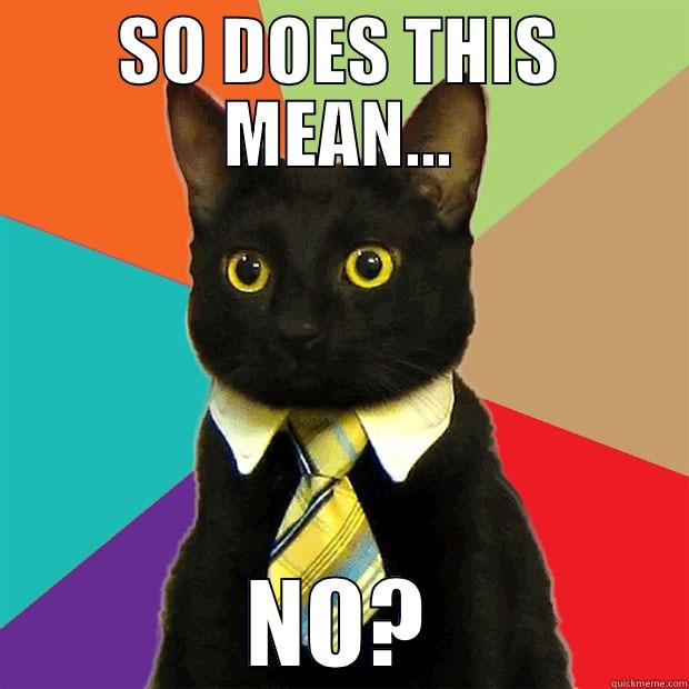 SO DOES THIS MEAN... NO? Business Cat