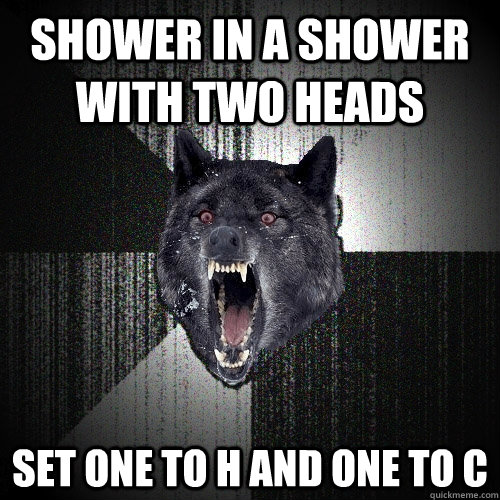 shower in a shower with two heads set one to H and one to C  Insanity Wolf
