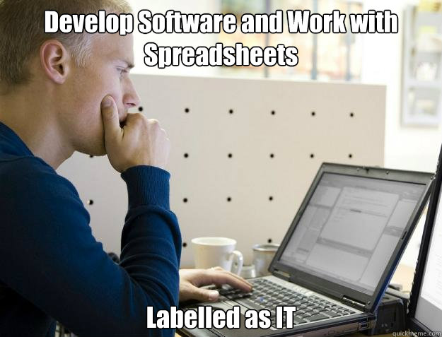 Develop Software and Work with Spreadsheets Labelled as IT  Programmer